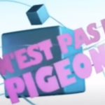 on est pas des pigeons